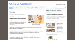 Desktop Screenshot of adlitip.org